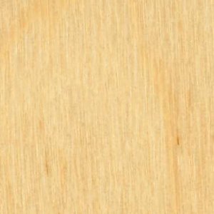 Nature_Maple